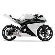 Yamaha YZF-R 125 14-18 Full Fairing Kit 21 Panel White/Black