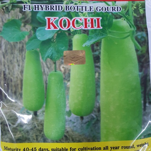 Kochi hybrid bottle gourd - kochi,