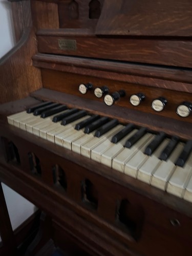 Harmonium organ - harmonium,