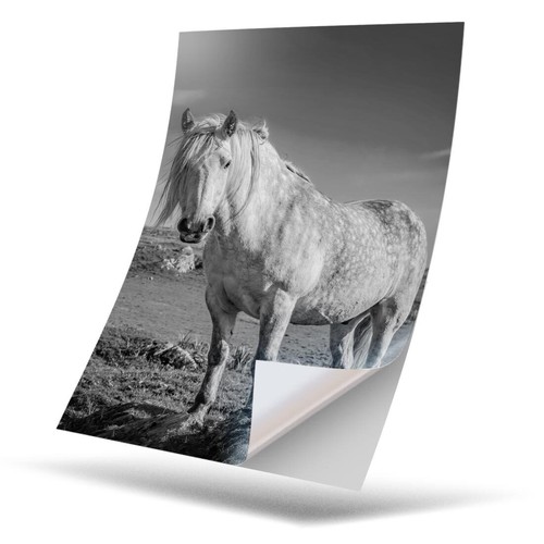 Vinyl sticker bw - -,