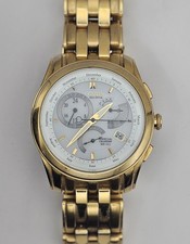 Citizen Eco Drive Perpetual