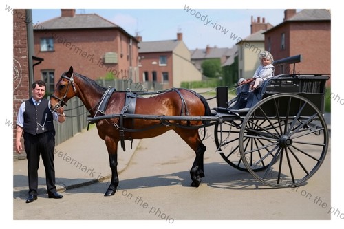 Col2667 pony trap - col2667, with
