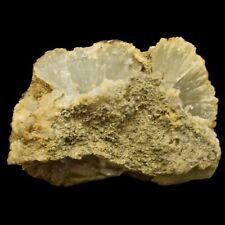 PRENHITA (Cortijo de la mina