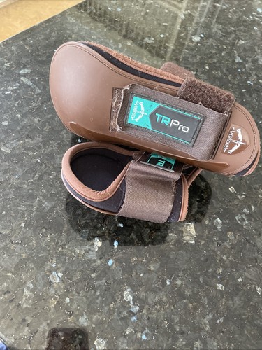 Veredus tendon and - tendon, fetlock