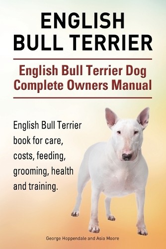 English bull terrier - english,