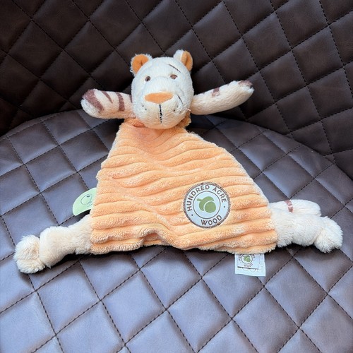 Disney tigger hundred acre - tigger,