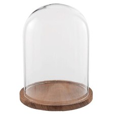 Glass Display Cloche Bell Jar Dome Flower Preservation Cover Wooden Base 28 cm 