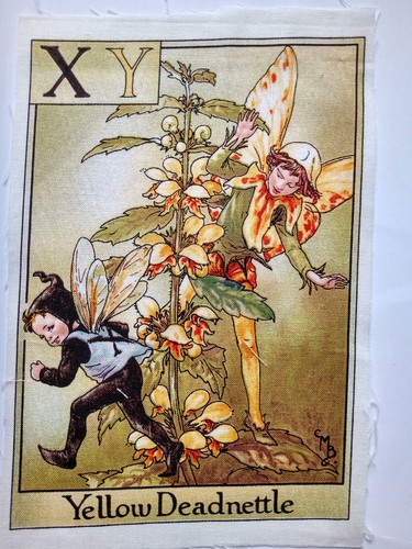 Yellow deadnettle alphabet - deadnettle,