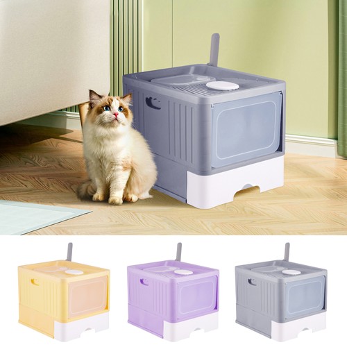 Smart large enclosed cat - smart,