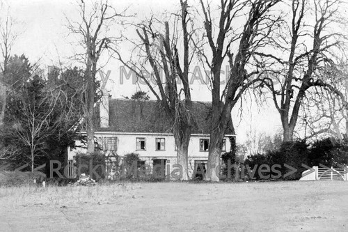 Bcs boose green - bcs-49, colne