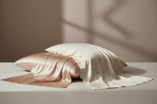 Pure Silk Pillowcases-19/22/25