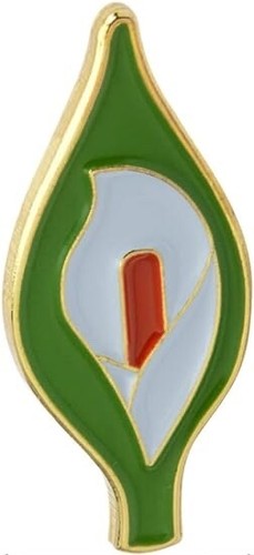 Ireland easter lily irish - lily,