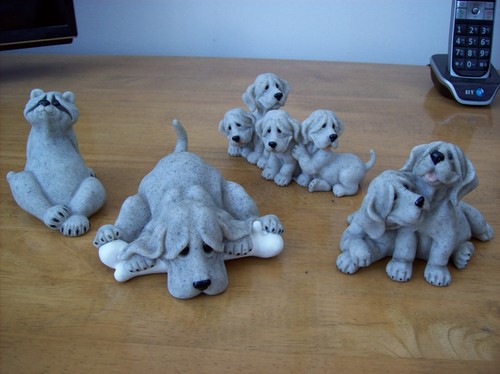 Coll quarry critters dogs - coll,