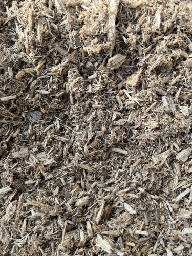 White rotten wood - rotten, for