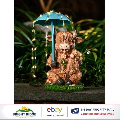 Mother baby highland cow - highland,