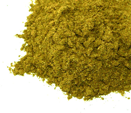 Horny goat weed - horny,