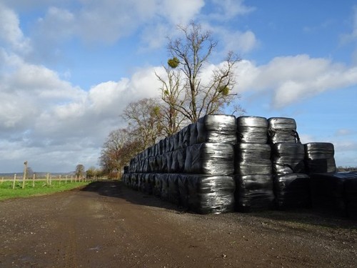 Photo 6x4 silage bales - silage, at