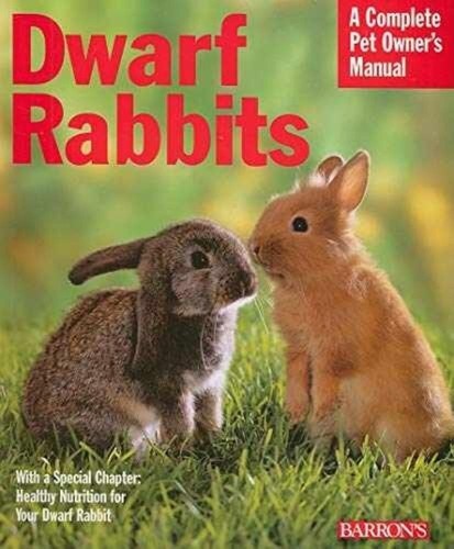 Dwarf rabbits monika wegler - rabbits,