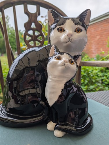 Staffordshire just cats co - staffordshire, &