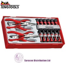 TENG 16 PIECE MINI PLIERS &