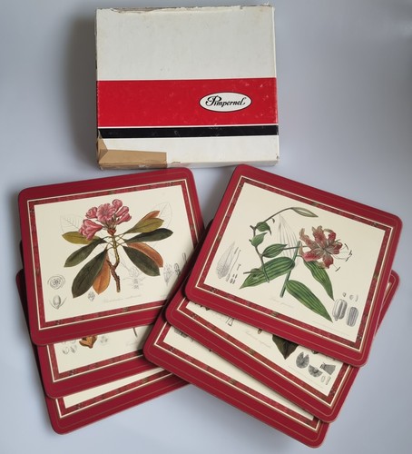 Vintage pimpernel botanical - pimpernel,