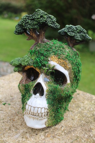 Super creepy human skull - super,