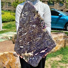 9.63LB  Zebra Marble End Plate Cabbing Lapidary Carved Spiritual Chakra Utah