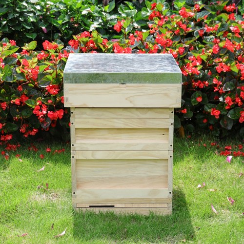 Wooden beehive kit for - wooden,