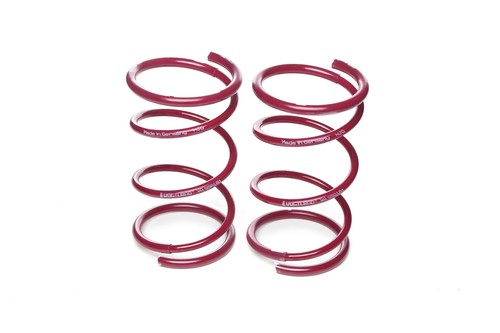 Vogtland lowering springs - vogtland,