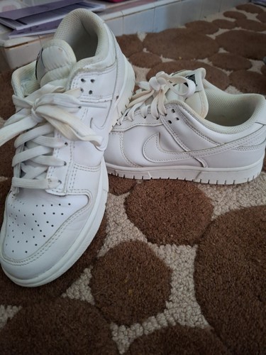 Nike dunk low pro - nike,