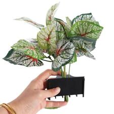 1x Aquarium Fish Tank Emerging