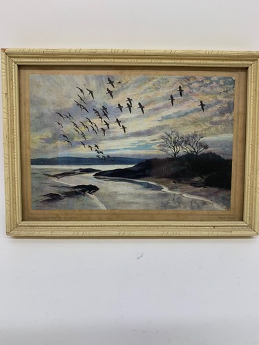 Vintage peter scott print 1939 - print,