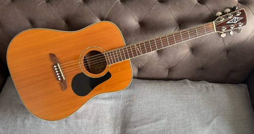 Alvarez nat 6 string - alvarez,