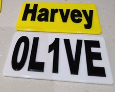 PAIR OF RAISED TXT NUMBER