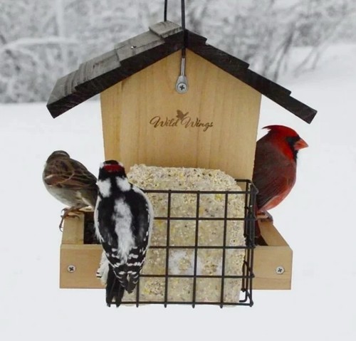 Suet cake bird - cake, hopper