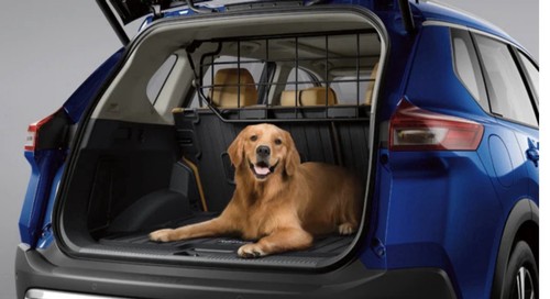 Genuine nissan cargo - genuine,