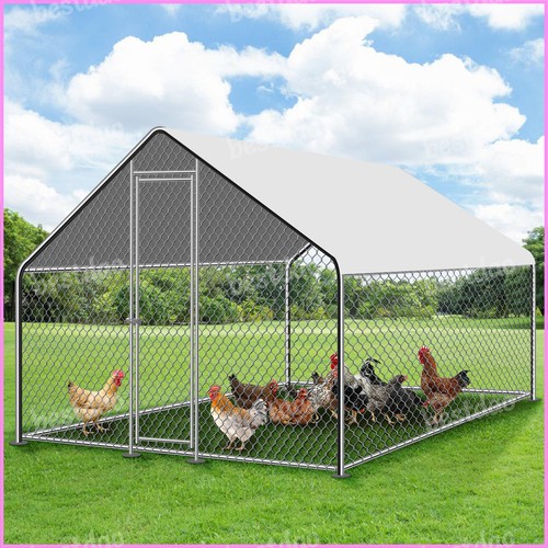 8x6 6x6 metal chicken - ft,