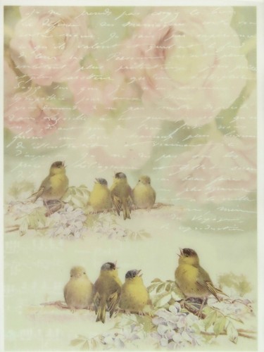 Printed translucent vellum - /,