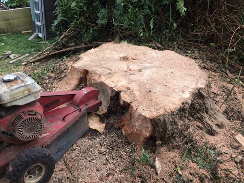 Tree stump grinder removal for - stump,