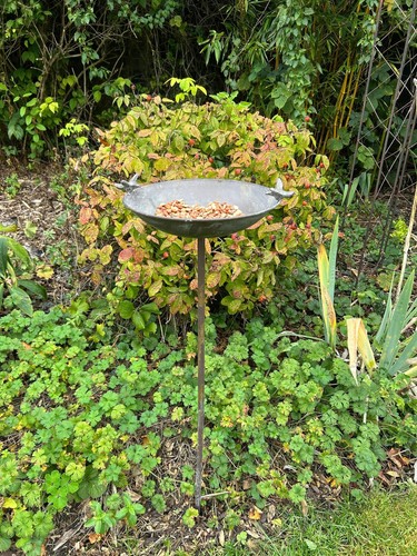 Antique grey bird bath - antique, feeder