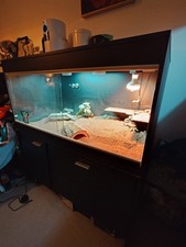 Viv Exotic Repti Home AAL