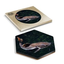1 x Hexagon Coaster - Redtail Catfish Fish Fishing Pond Lake #24100
