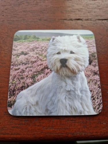 West highland terrier - terrier, coaster