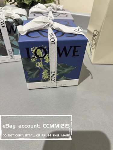 Loewe ivy candle 170g - 🌿🕯,