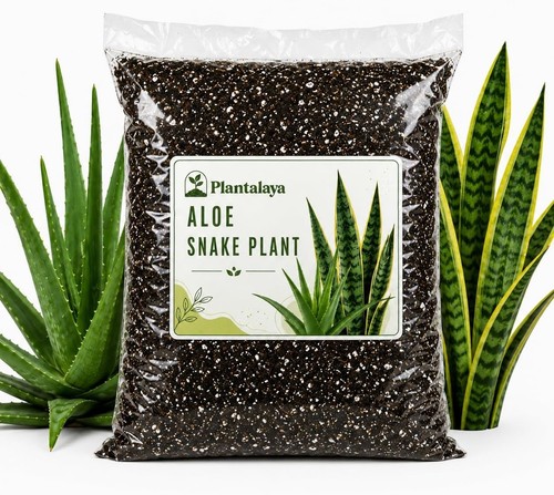 Aloe vera snake - vera,
