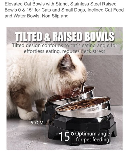 Elevated cat dog bowls with - cat/dog,