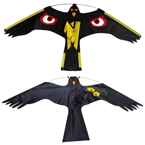 Realistic flying hawk - hawk, kite