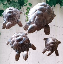 SET OF 4 WADE TORTOISES 1 is a