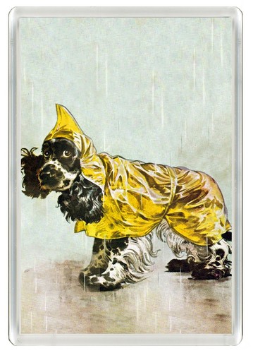 Cocker spaniel dog fridge - spaniel,