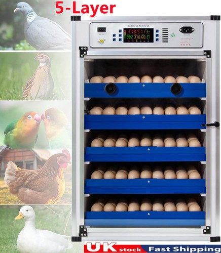340 automatic digital eggs - 340,